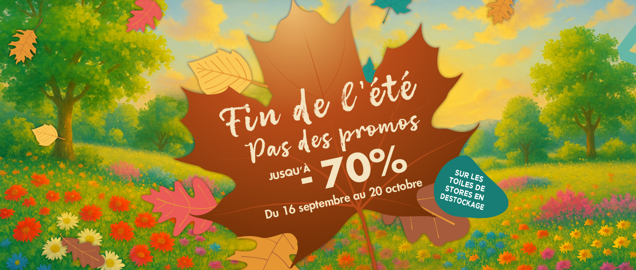 promotions toiles destockages