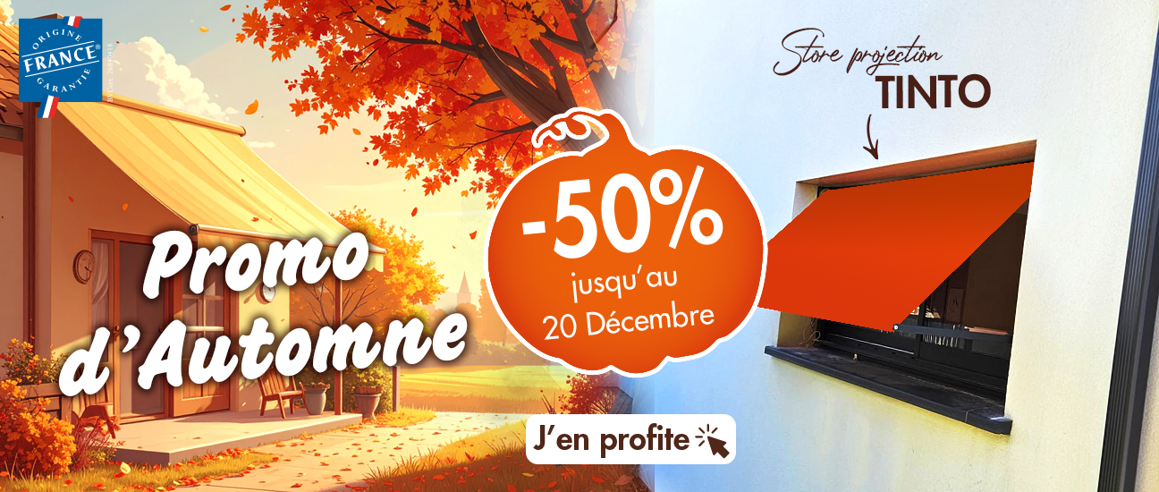 Promo store projection