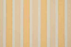 Toile de Store 8612