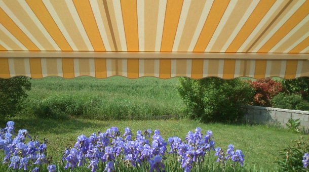 Toile de store rayée jaune